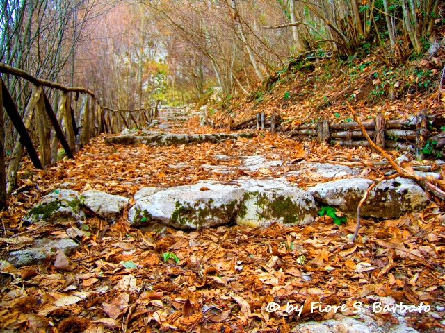 Trekking tra natura e storia